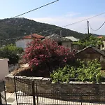 Nikolaou *