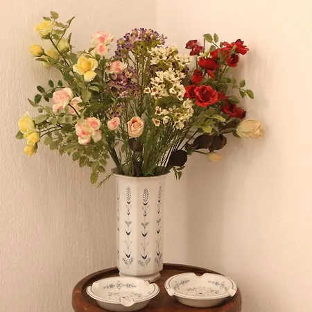 Nikolaou アパート *