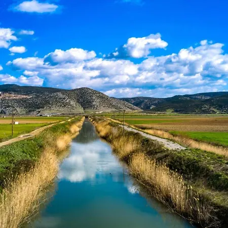 Nikolaou アパート *